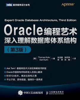 Oracle编程艺术：深入理解数据库体系结构（第3版）: 深入理解数据库体系结构