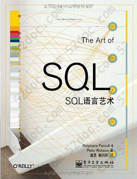 SQL语言艺术: The Art of SQL