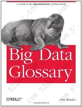 Big Data Glossary