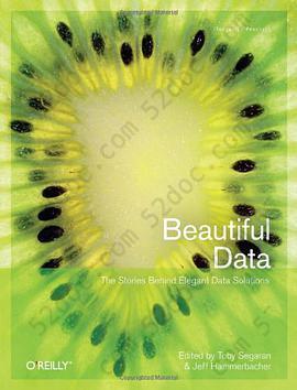 Beautiful Data: The Stories Behind Elegant Data Solutions