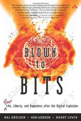 Blown to Bits: Your Life, Liberty, and Happiness After the Digital Explosion