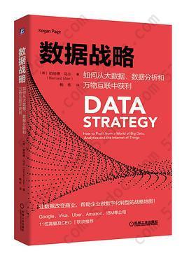数据战略: 如何从大数据、数据分析和万物互联中获利