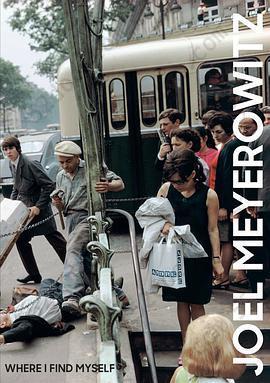 Joel Meyerowitz: Where I Find Myself: A Lifetime Retrospective