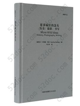 更多疯狂的念头: 历史、摄影、书写