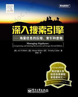 深入搜索引擎: 海量信息的压缩、索引和查询