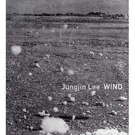 Jungjin Lee: Wind: Wind