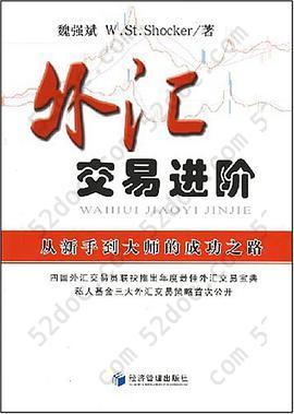 外汇交易进阶: 从新手到大师的成功之路