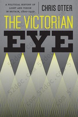 The Victorian Eye: A Political History of Light and Vision in Britain, 1800-1910