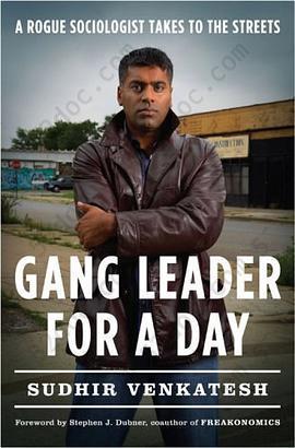 Gang Leader for a Day: A Rogue Sociologist Takes to the Streets