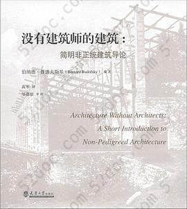 没有建筑师的建筑: 简明非正统建筑导论