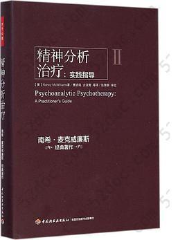 精神分析治疗：实践指导（万千心理）: 实践指导