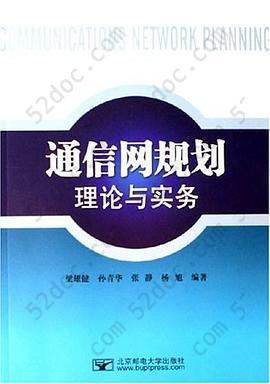 通信网规划理论与实务