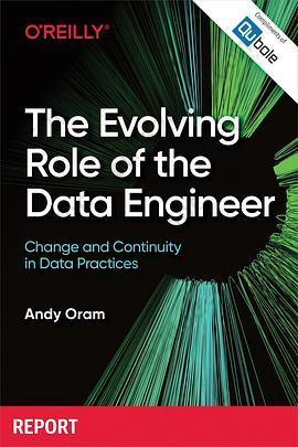 The Evolving Role of the Data Engineer: Change and Continuity in Data Practices