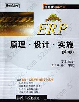 ERP原理设计实施: 第3版